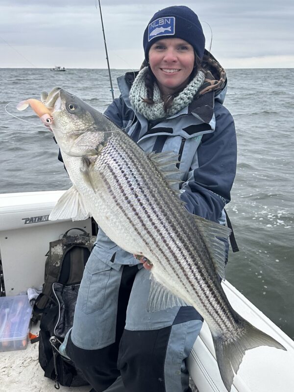 Trophy Winter Striped Bass