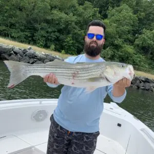 A man holding a striped bass on top of a boat.