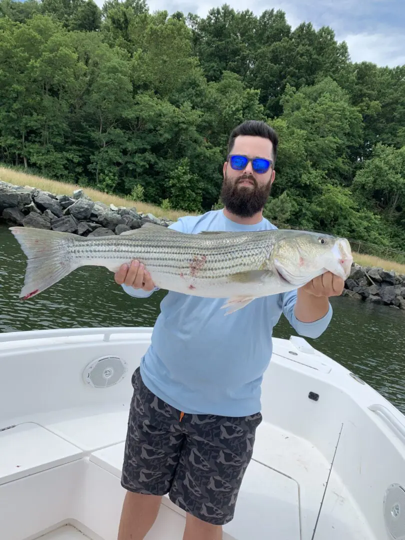 A man holding a striped bass on top of a boat.