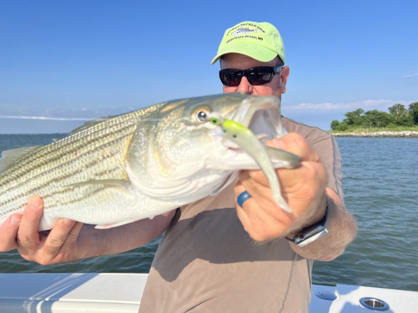 A man holding a striped bass on the water.