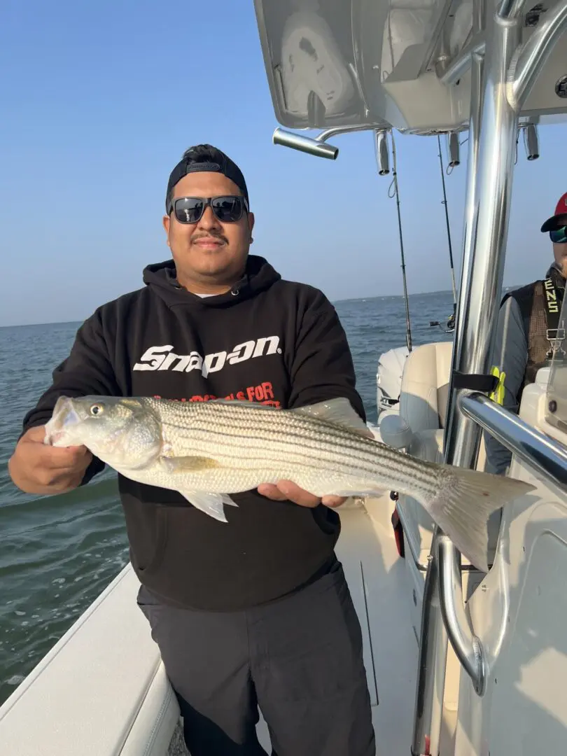 A man holding a striped bass on the boat.