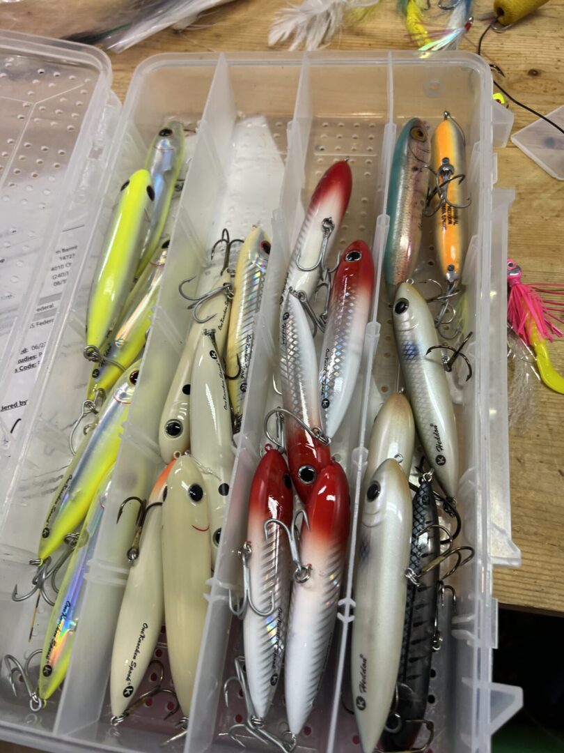 A plastic container filled with lots of fishing lures.
