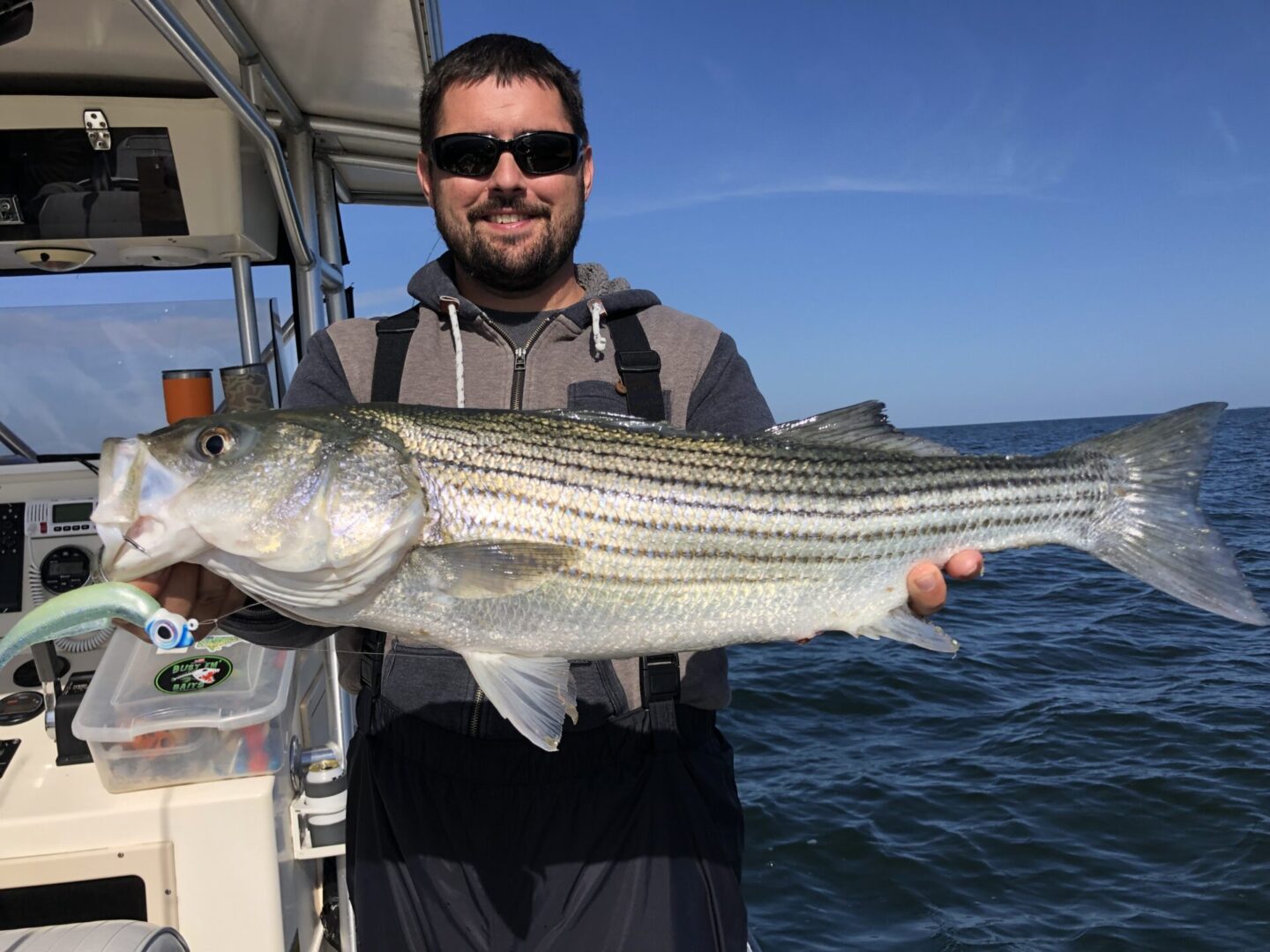 A man holding a striped bass on the boat.